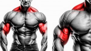 Как накачать шею и руки: эти 8 упражнений "Золотой" билет к ним!