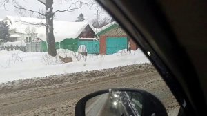 Подмосковная зима