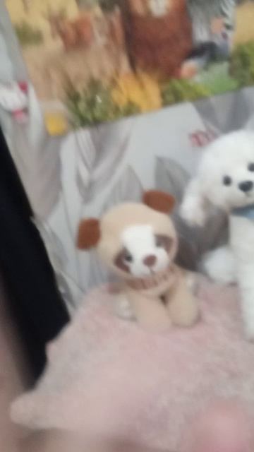 VID_20260120_160235.mp4 смотреть онлайн