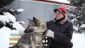 Ищу тебя, хозяин