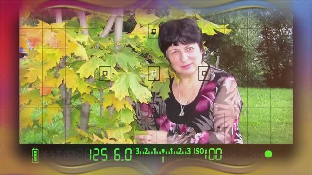 Александр Талин и Василиса - Позови меня смотреть онлайн