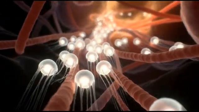 Уничтожение ИНФЕКЦИЙ и Воспалений*Полное Исцеление и Регенерация*Частоты Доктора Шмидта[ смотреть онлайн