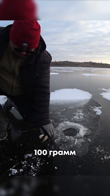 ТАК И РЫБАЧИМ! #shorts #рыбалка #fishing #рыба #fish #эдвардкосичка #природа #nature #отдых #rest смотреть онлайн