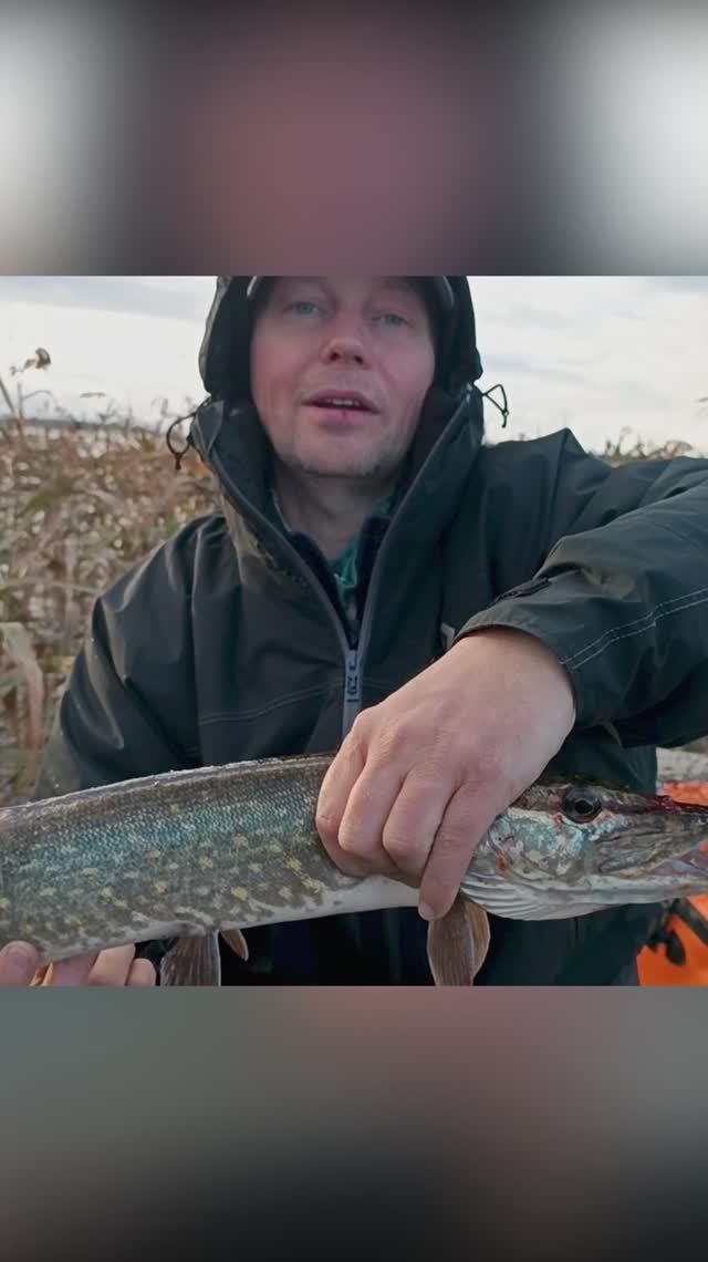 Catch and release смотреть онлайн