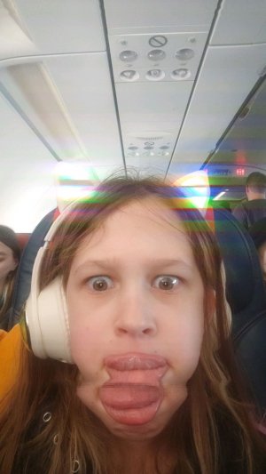 как вам шалаш