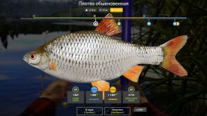 ПЛОТВА ТРОФЕЙ!!!СТАРЫЙ ОСТРОГ - РУССКАЯ РЫБАЛКА 4