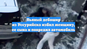 Пьяный дебошир из Уссурийска избил женщину, ее сына и повредил автомобиль