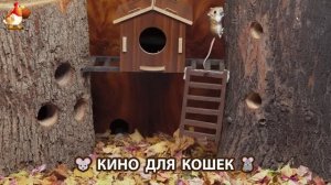 Видео для кошек про крысок развлекать питомцев 🐭🐀😂 (434)