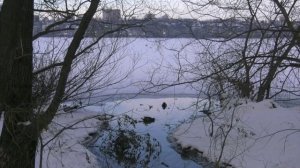 Прокуратура направила губернатору информацию о критической ситуации с загрязнением водохранилища