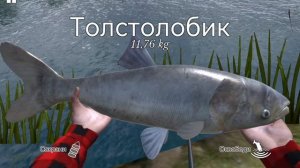 ловим рыбу в игре