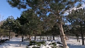 20.01.26.Новая набережная, самса, фитнес клуб. Анапа.