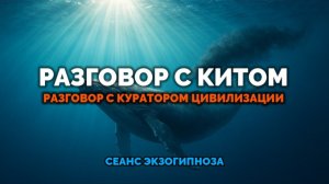 РАЗГОВОР С КИТОМ РАЗГОВОР С КУРАТОРОМ ЦИВИЛИЗАЦИИ