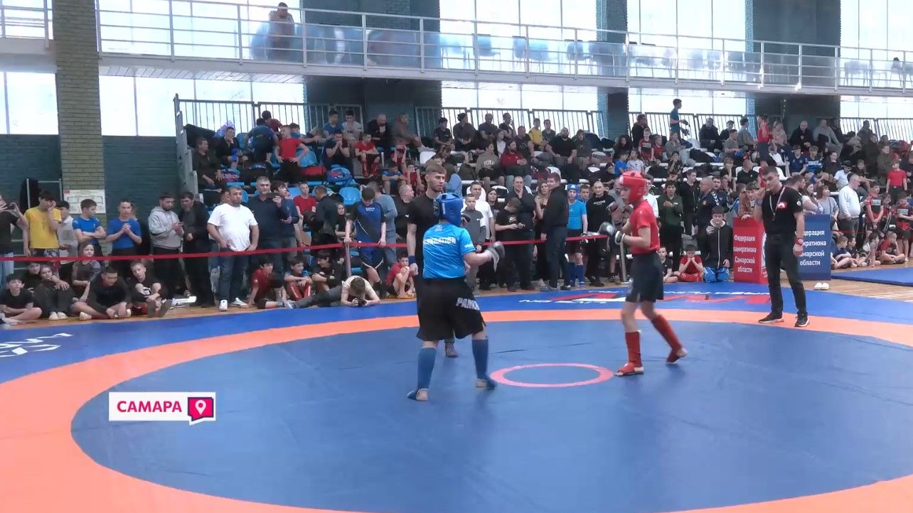 Чемпионат по панкратиону в Самарской области смотреть онлайн