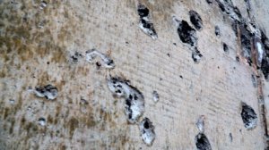 При ударе по Белгороду повреждены предприятия энергетического комплекса