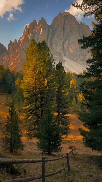 ПРИРОДА смотреть онлайн