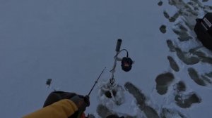 ЖЕСТЬ! ОГРОМНЫЕ СУДАКИ КЛЮЮТ ДУПЛЕТОМ! ЗИМНЯЯ РЫБАЛКА НА СУДАКА.