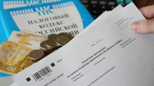 Шацкая рассказала об угрозе цифровой репутации и доначислений НДФЛ ИП