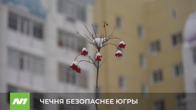 Чечня, Ингушетия и Дагестан безопаснее Югры. Россия смотреть онлайн