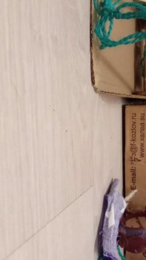 снимаю день школьника на лошади schleich