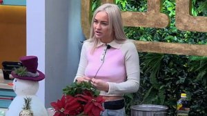 Дом-2 от 20.01.2026 анонс выпуска, что будет в эфире