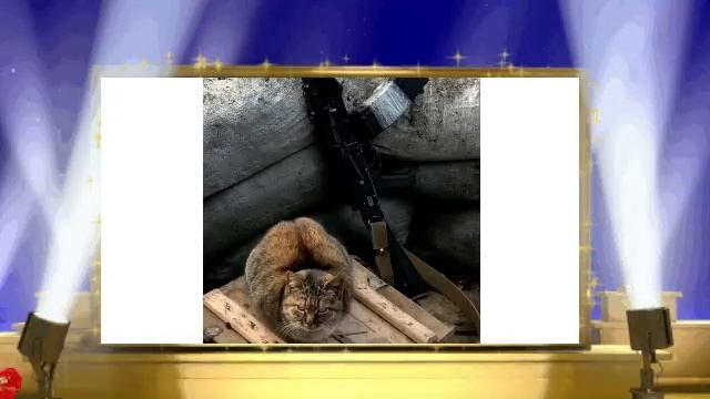 В гостях у Турка (В Одном Строю ) смотреть онлайн