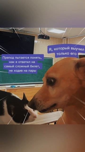 Когда вытянул тот самый билет, который учил.....лицо, выражающее счастье! смотреть онлайн