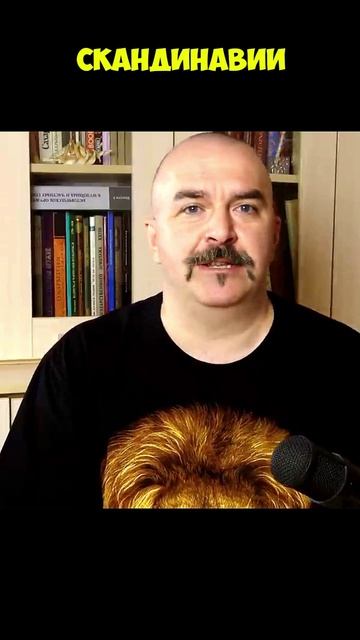 Клим Жуков про находку в норвежском кургане интересной кольчуги смотреть онлайн