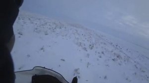 Охота на волков 4.