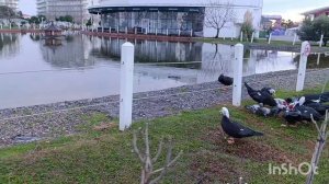 Сочи парк Отель. Отдых зимой.