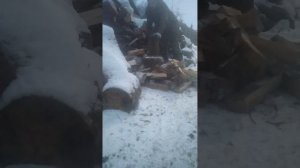 рублю дрова на зиму