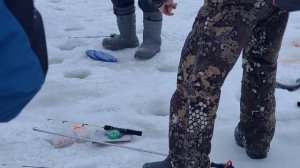 сёмкина 2 в комаровке