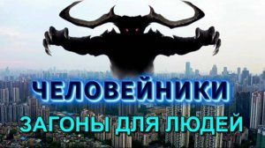 Кто и зачем ЗАГНАЛ людей в ЧЕЛОВЕЙНИКИ💥