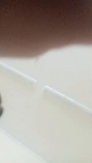 стрим в школе