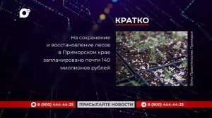 Кратко / 20.01.26