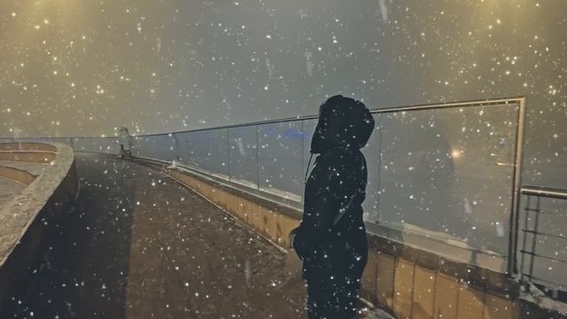 Световая инсталляция у Лахта Центра 2026 смотреть онлайн