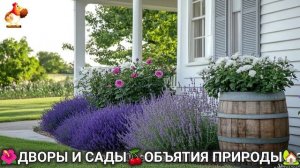 Дворы и сады 🍒 идеи оформления дачи в объятиях природы 🏡 (29) 🌳