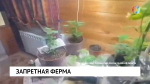 Новости от 20.01.2026