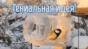 Почему я Раньше до этого не додумался, Как сделать Кормушку для птиц за 3 минуты!