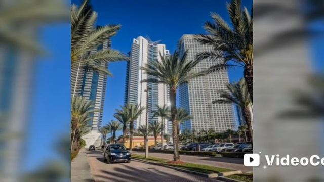 Шрекшнауцер в отпуске.