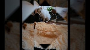 Моя Маруся- красатуся!♥️