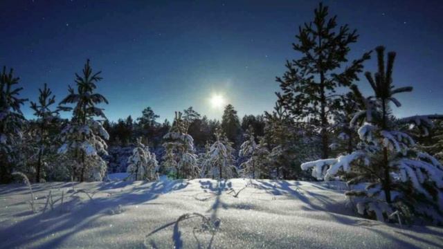 ЗИМЫ СЕРПАНТИН - стихи Надежды Шубиной смотреть онлайн