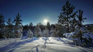 ЗИМЫ СЕРПАНТИН - стихи Надежды Шубиной