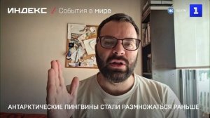 Антарктические пингвины стали размножаться раньше