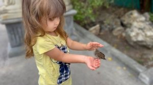 Мама Люси СНОВА ЖДЁТ МАЛЫША! Ангелина не была в парке почти две недели и ОЧЕНЬ СОСКУЧИЛАСЬ!