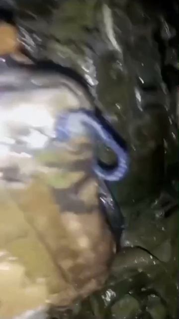 ���-�� � ���� ���. ����. ������ 🥶