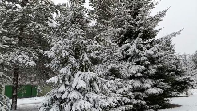 #ах эта зима как она красива смотреть онлайн