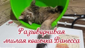 Разговорчивая кисуня Ванесса