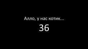 Алло, у нас котик - 36