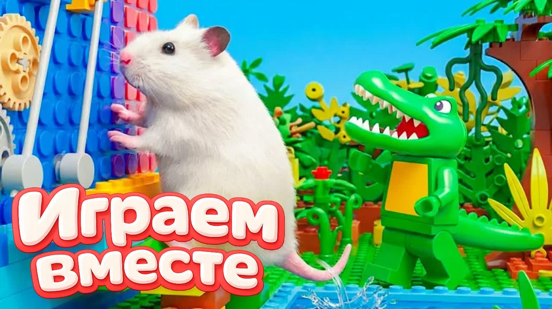 НОВЫЙ ОПАСНЫЙ ЛАБИРИНТ ДЛЯ ХРАБРОГО И УМНОГО ХОМЯКА 🐹 ВИДЕО ДЛЯ ДЕТЕЙ ! Ч.8 смотреть онлайн