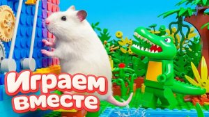 НОВЫЙ ОПАСНЫЙ ЛАБИРИНТ ДЛЯ ХРАБРОГО И УМНОГО ХОМЯКА 🐹 ВИДЕО ДЛЯ ДЕТЕЙ ! Ч.8